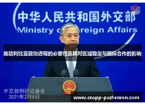 推动利比亚政治进程的必要性及其对区域稳定与国际合作的影响