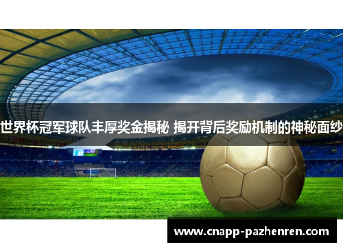 世界杯冠军球队丰厚奖金揭秘 揭开背后奖励机制的神秘面纱