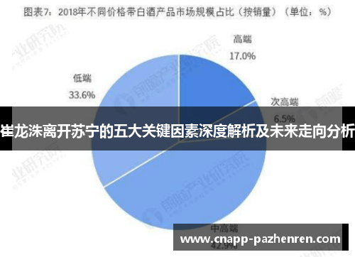 崔龙洙离开苏宁的五大关键因素深度解析及未来走向分析