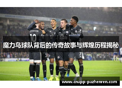 魔力鸟球队背后的传奇故事与辉煌历程揭秘