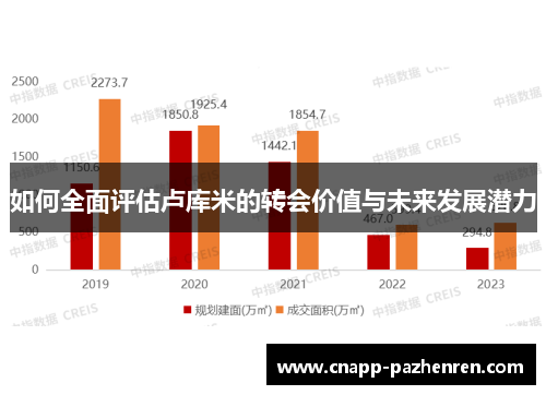 如何全面评估卢库米的转会价值与未来发展潜力